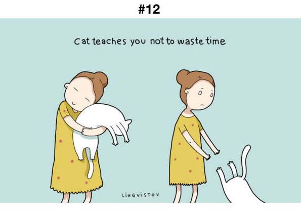 Manfaat Kucing 12
