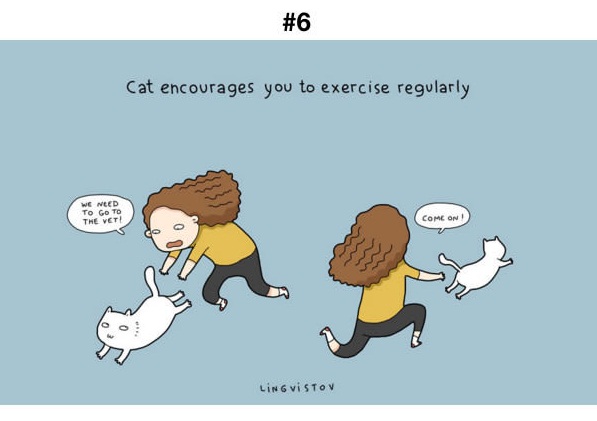 Manfaat Kucing 6