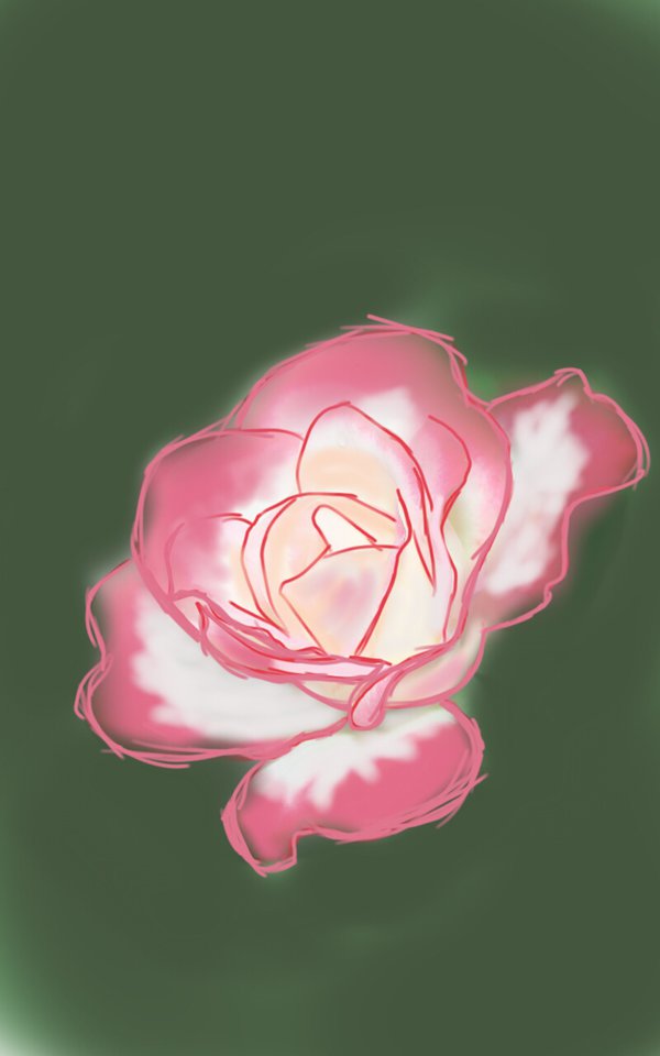 gambar lukisan bunga mawar
